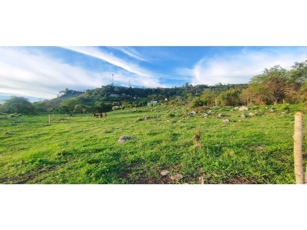 Lotes desde 1890 M2 en 284 mill a 5 min del pueblo — foto 5