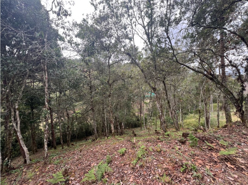 LOTES EN EL RETIRO ANTIOQUIA VÍA DON DIEGO LA CEJA EN PARCELACION