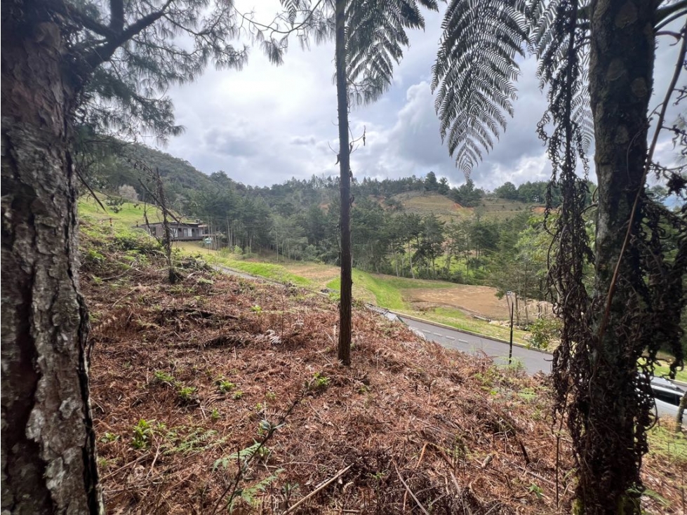 LOTES EN EL RETIRO ANTIOQUIA VÍA DON DIEGO LA CEJA EN PARCELACION — foto 2
