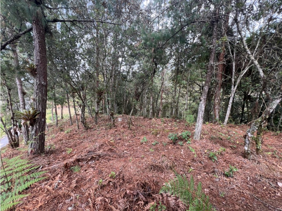 LOTES EN EL RETIRO ANTIOQUIA VÍA DON DIEGO LA CEJA EN PARCELACION — foto 4