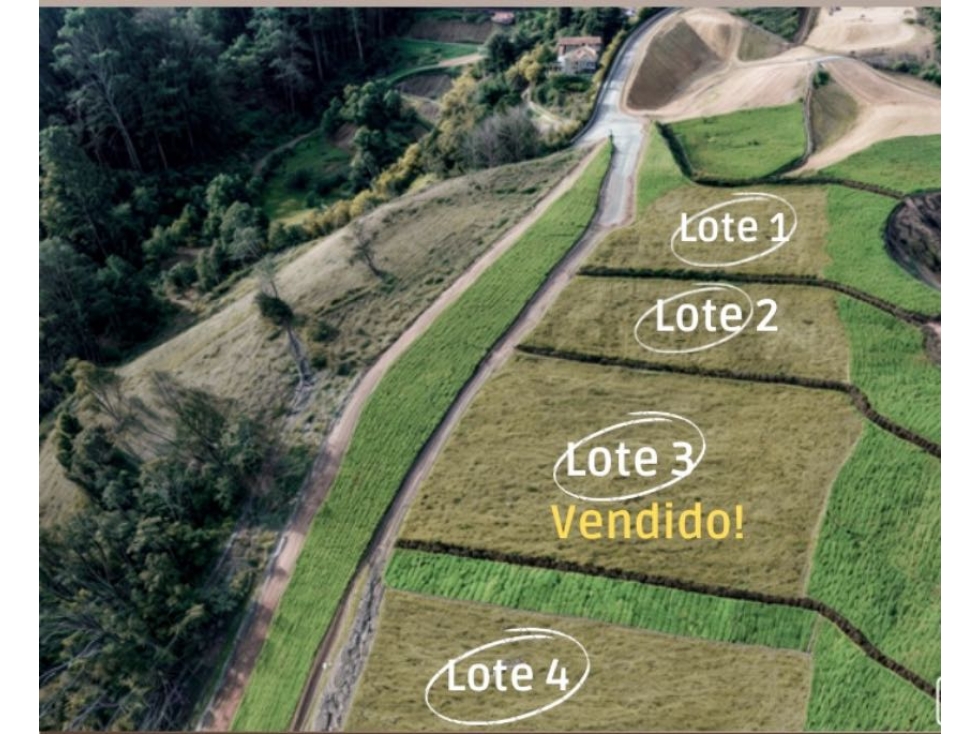 Lotes en guarne en parcela de 4 lotes — foto 2
