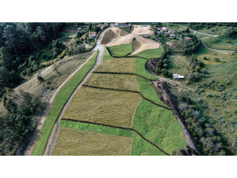 Lotes en guarne en parcela de 4 lotes