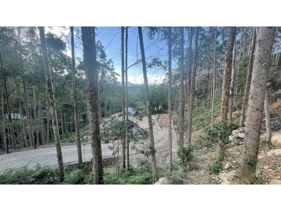 Lotes En Guatapé con vista a la piedra en venta — foto 3