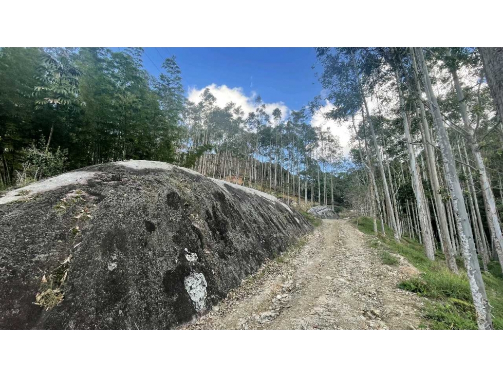 Lotes En Guatapé con vista a la piedra en venta — foto 4