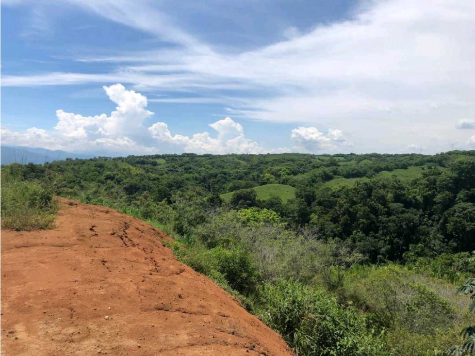 LOTES EN MORELIA desde $ 90 mil mts2 (zona campestre) Pereira — foto 3