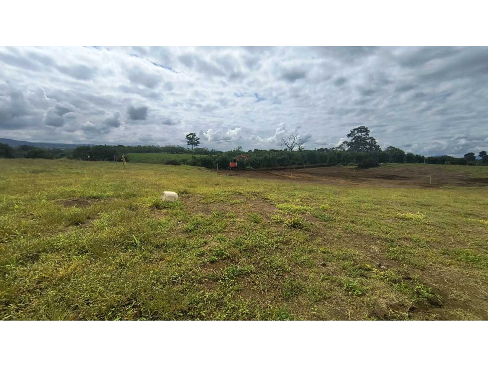 LOTES EN MORELIA desde $ 90 mil mts2 (zona campestre) Pereira — foto 5