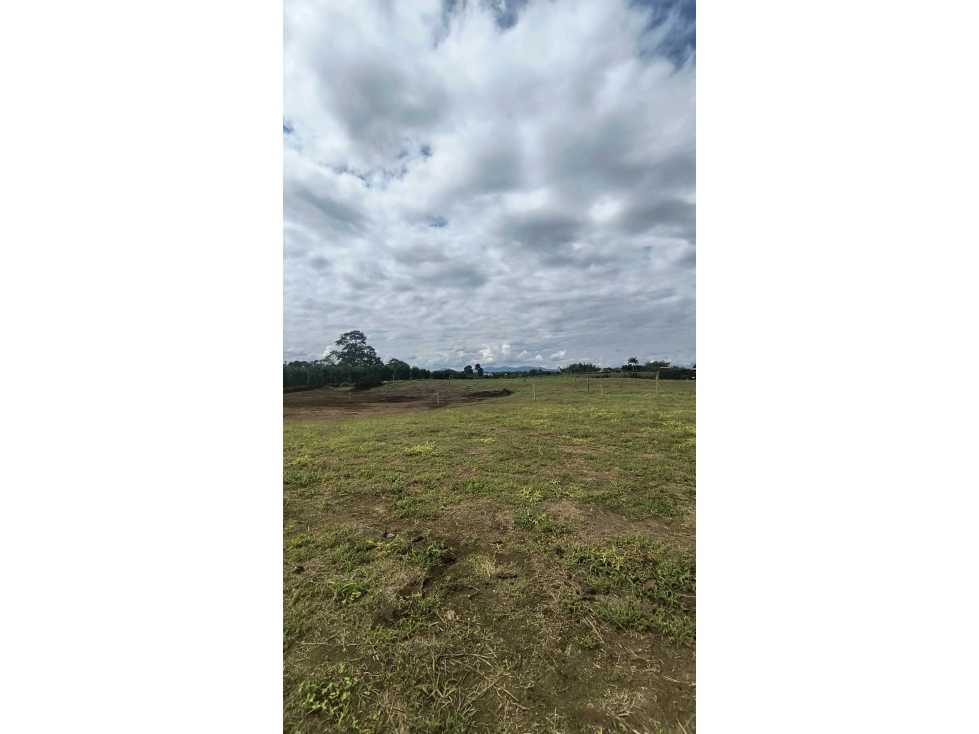 LOTES EN MORELIA desde $ 90 mil mts2 (zona campestre) Pereira — foto 6