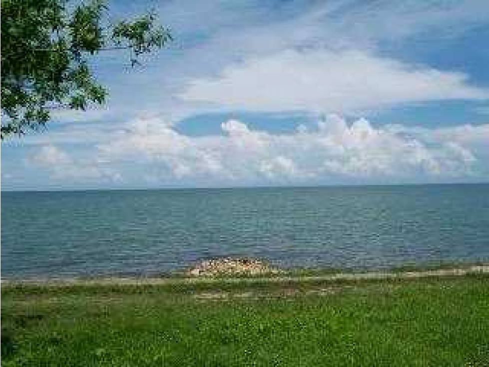LOTES EN VENTA A LA ORILLA DEL MAR CARIBE - 2