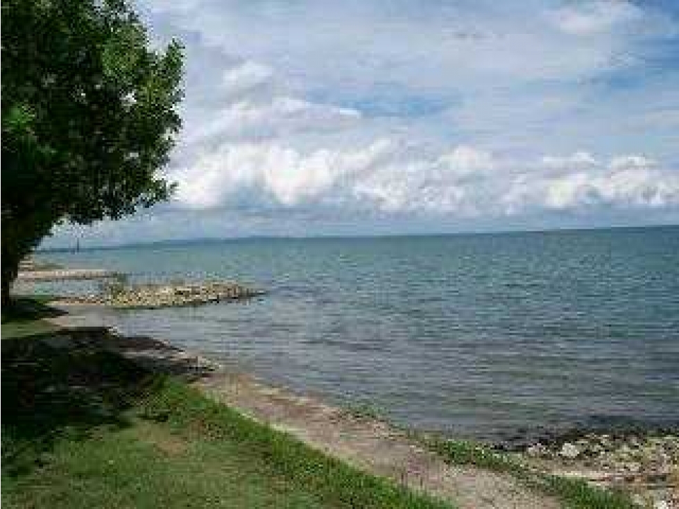 LOTES EN VENTA A LA ORILLA DEL MAR CARIBE - 5