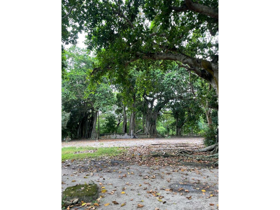 LOTES EN VENTA A LA ORILLA DEL MAR CARIBE - 6