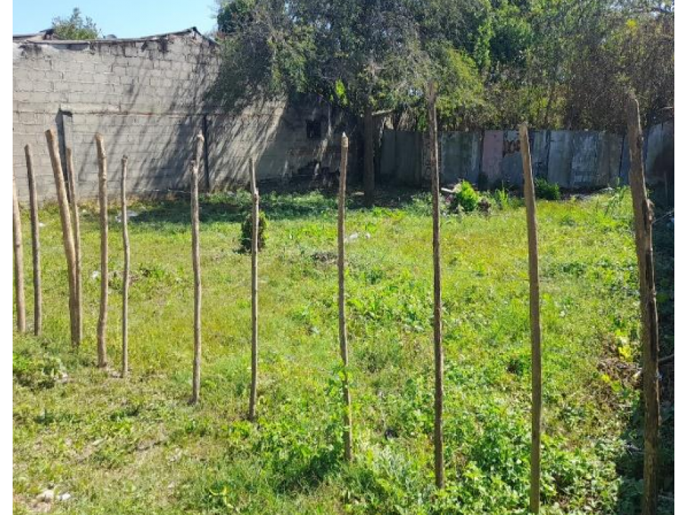 Lotes en Venta - Baranoa, Atlántico - 2