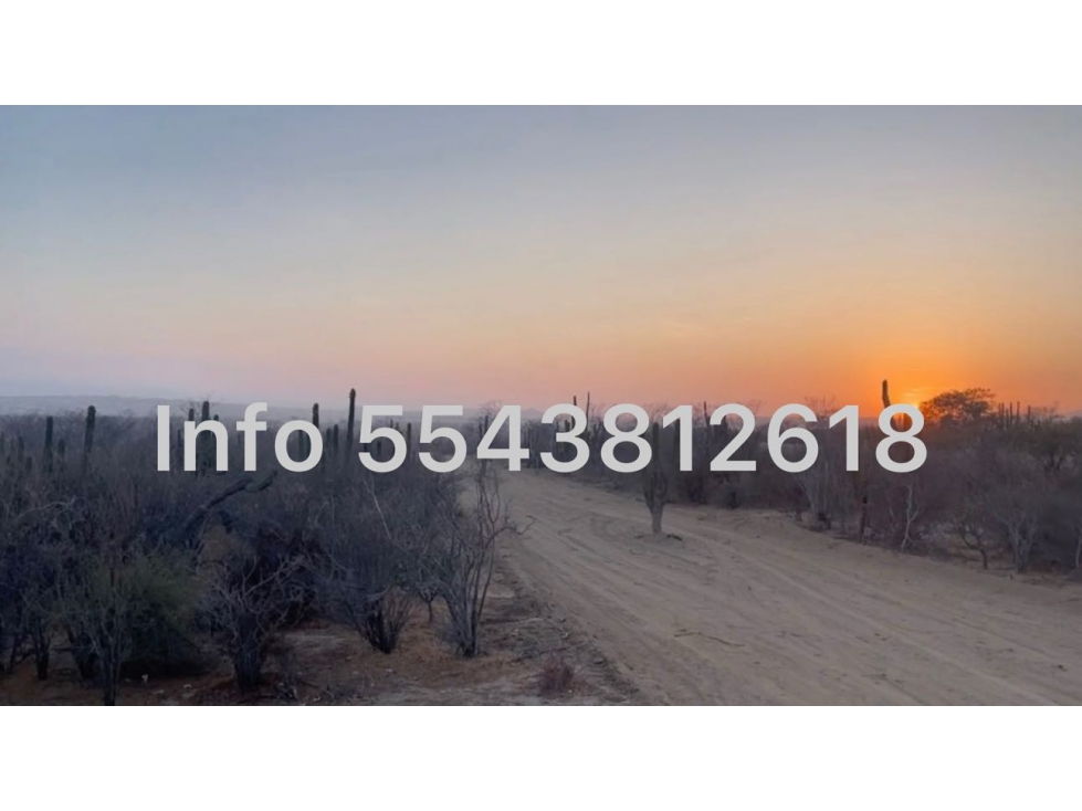 LOTES EN VENTA CON FINANCIAMIENTO DIRECTO EN EL TEZAL, CABO SAN LUCAS - 3