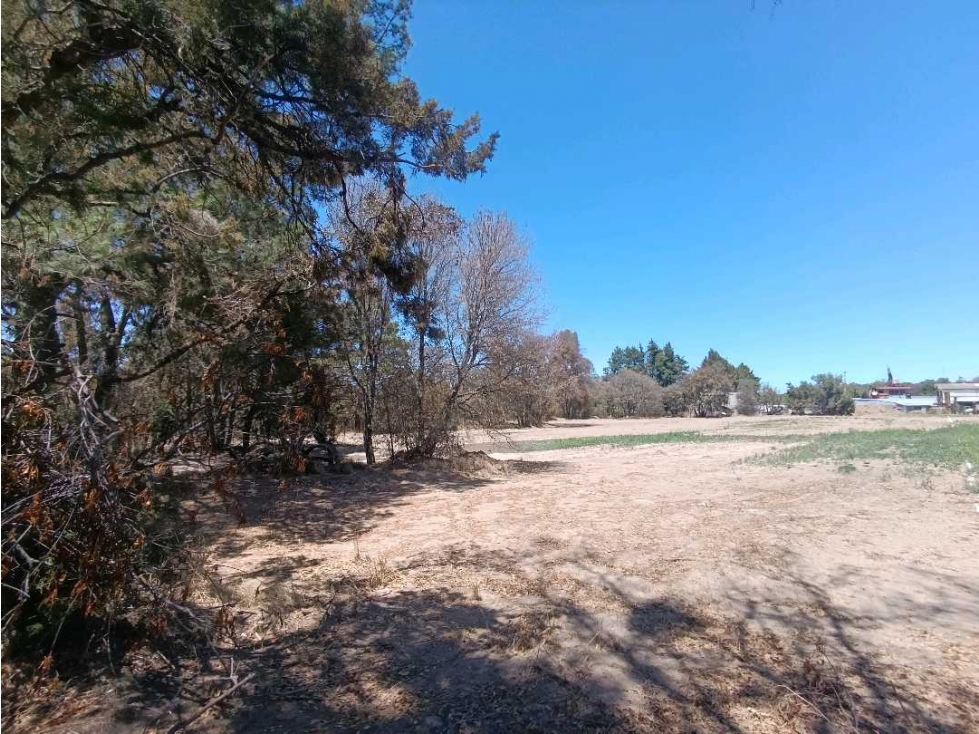 Por Lotes o COMPLETO en venta Cuaxomulco, Tlax - 5