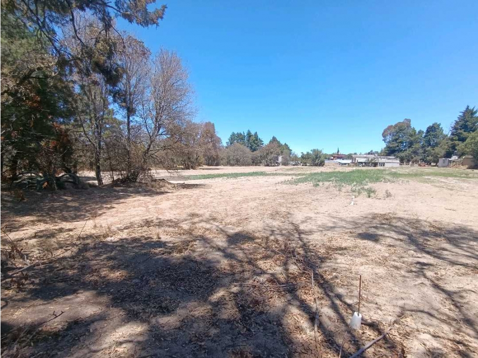 Por Lotes o COMPLETO en venta Cuaxomulco, Tlax - 6