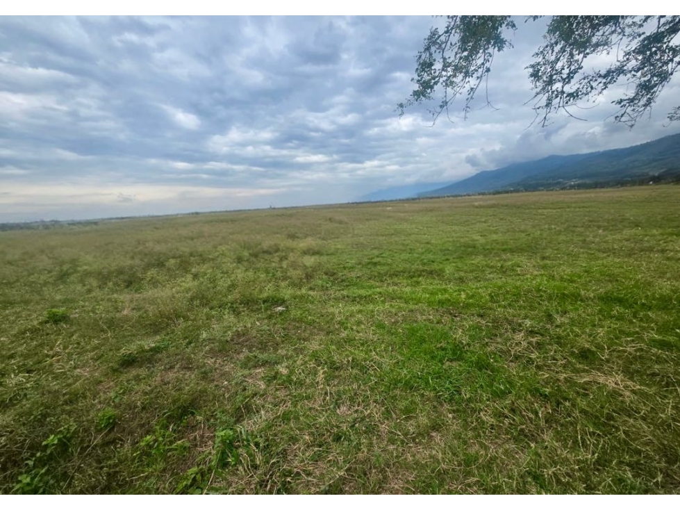 Lotes en venta desde 1.000 m² en parcelación - Santa Elena El cerrito — foto 2