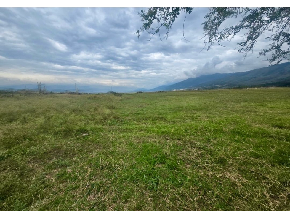 Lotes en venta desde 1.000 m² en parcelación - Santa Elena El cerrito — foto 3