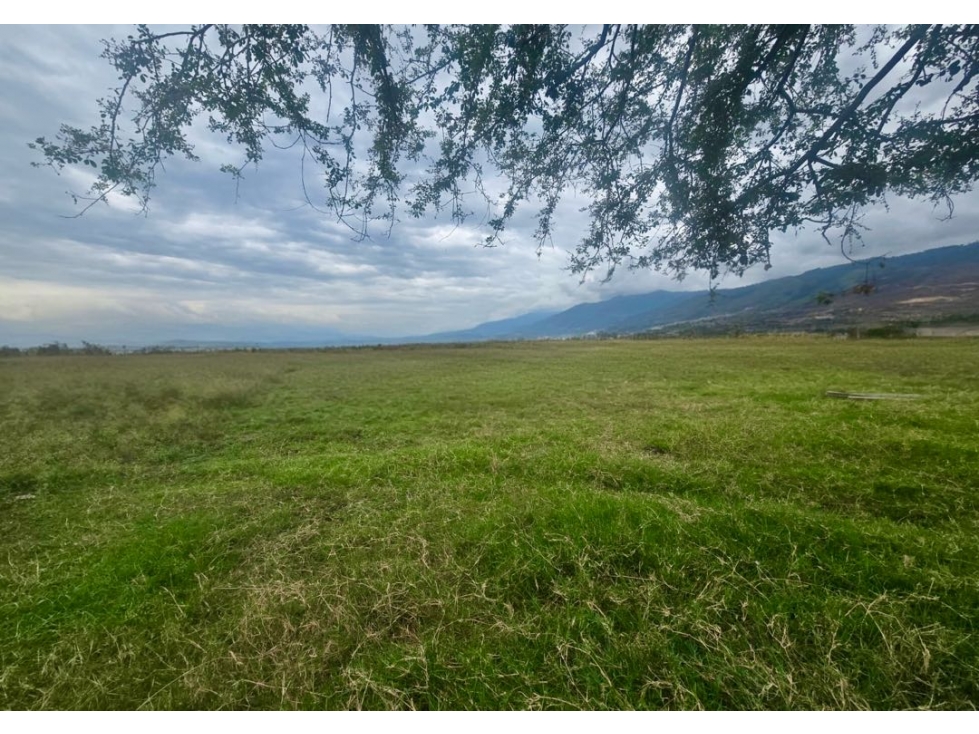 Lotes en venta desde 1.000 m² en parcelación - Santa Elena El cerrito — foto 5