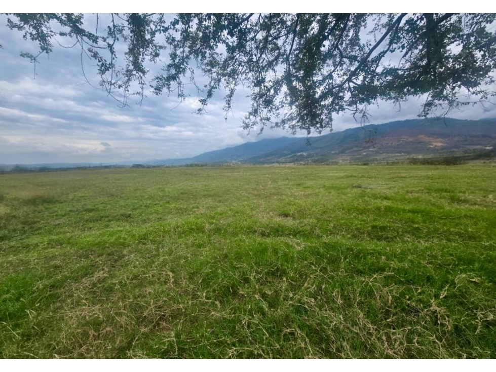 Lotes en venta desde 1.000 m² en parcelación - Santa Elena El cerrito — foto 6
