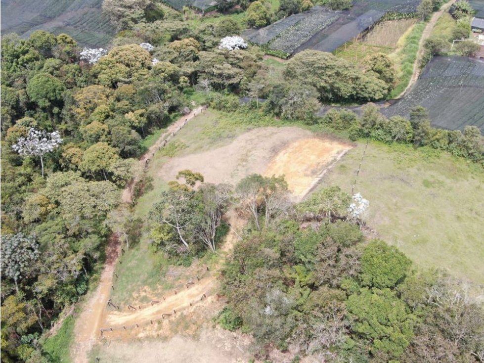 GRAN OPORTUNIDIDAD LOTE EN VENTA EL CARMEN DE VIBORAL - 5