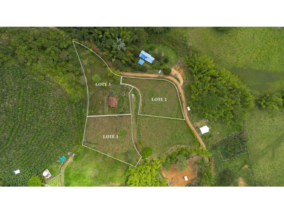 SE VENDE LOTES Y CABAÑA EN LAGO CALIMA DARIEN - 2