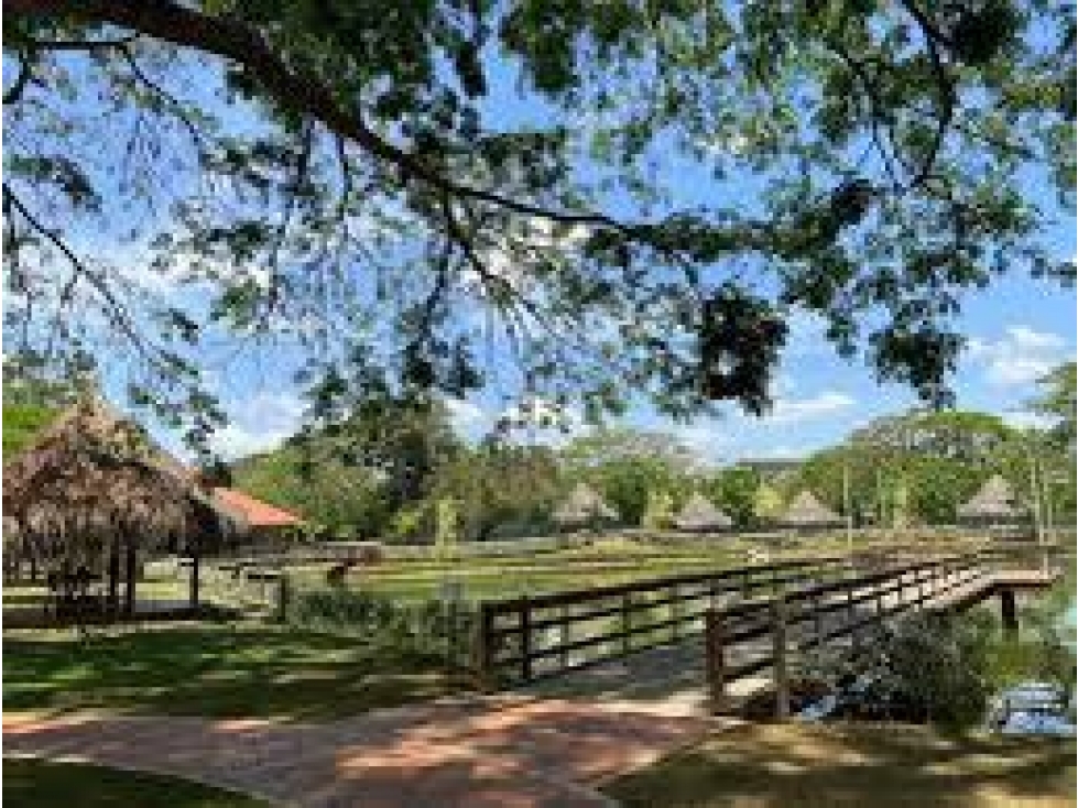 LOTES EN VENTA EN PILAMO MONTERIA — foto 3