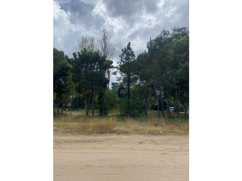 Lotes 2 y 3 Manzana 136 Nayades venta Pinamar U3P — foto 5
