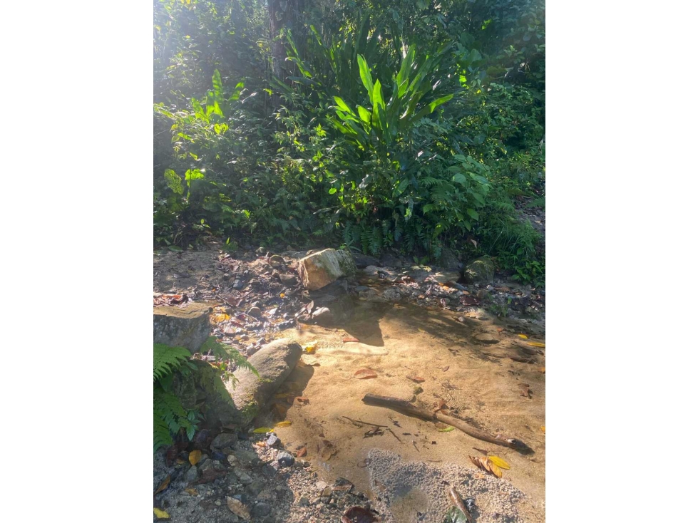 Lotes en venta por el Tayrona Buritaca