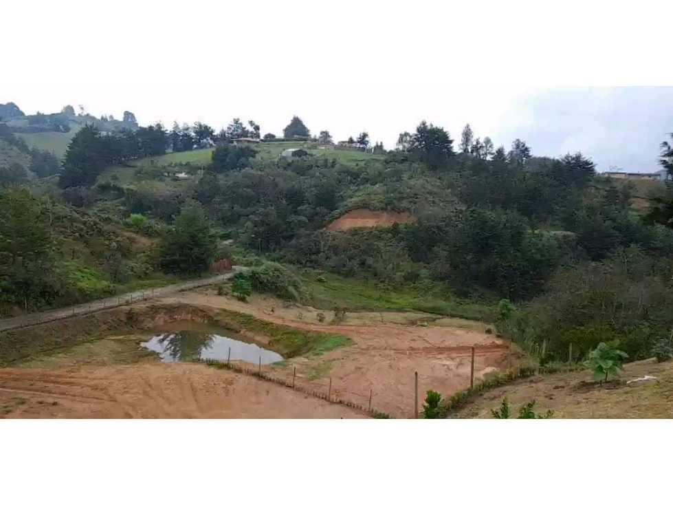 Lotes en Vereda Los Pinos La Porquera municipio de Rionegro Ant — foto 4