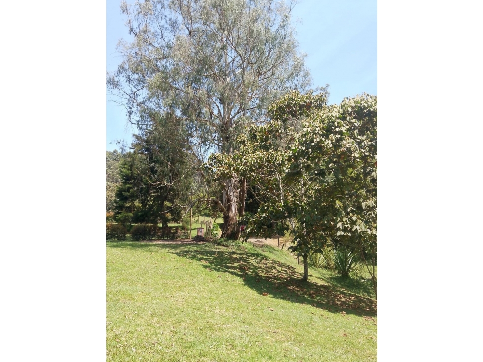 Lotes en zona rural Caldas - 1