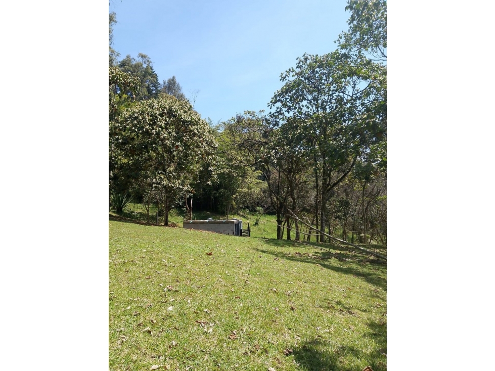 Lotes en zona rural Caldas - 4