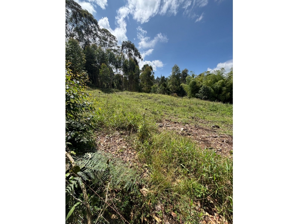 Lotes independientes en vereda el monta es de Guarne a 5 minutos — foto 3