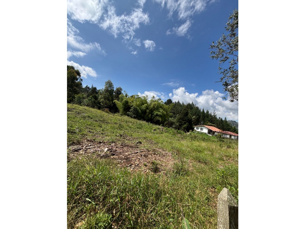 Lotes independientes en vereda el monta es de Guarne a 5 minutos — foto 4