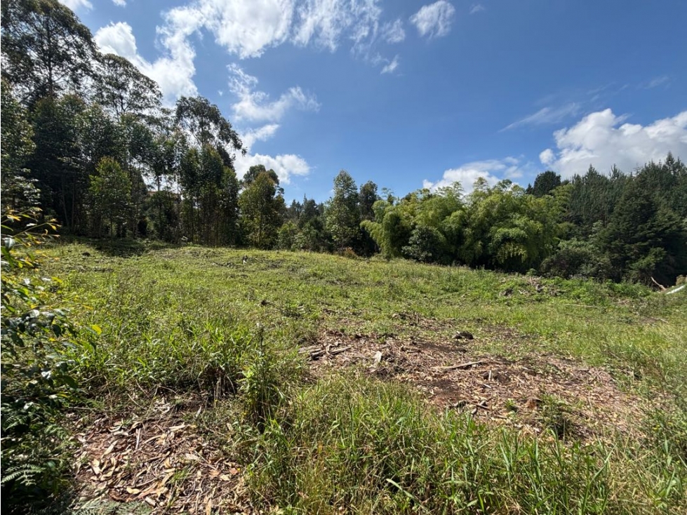 Lotes independientes en vereda el monta es de Guarne a 5 minutos — foto 5