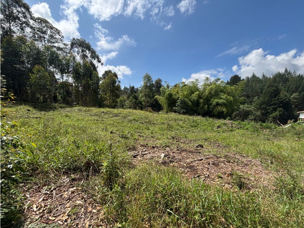 Lotes independientes en vereda el monta es de Guarne a 5 minutos — foto 6