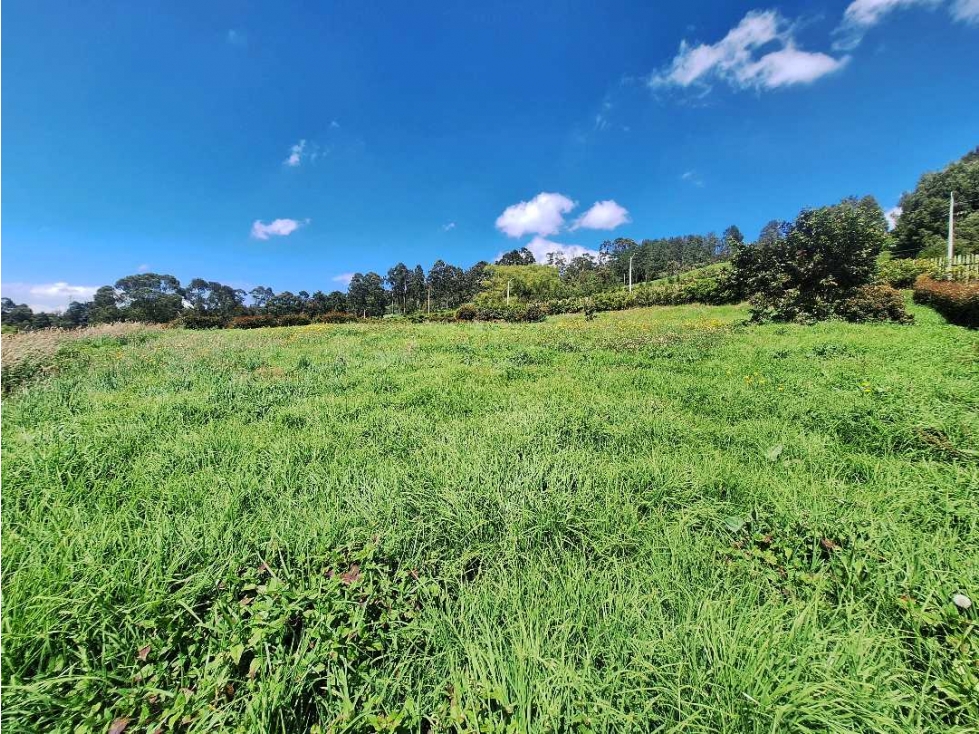 LOTES PARA LA VENTA, ALTO DE LAS PALMAS- SECTOR LA ACUARELA — foto 2