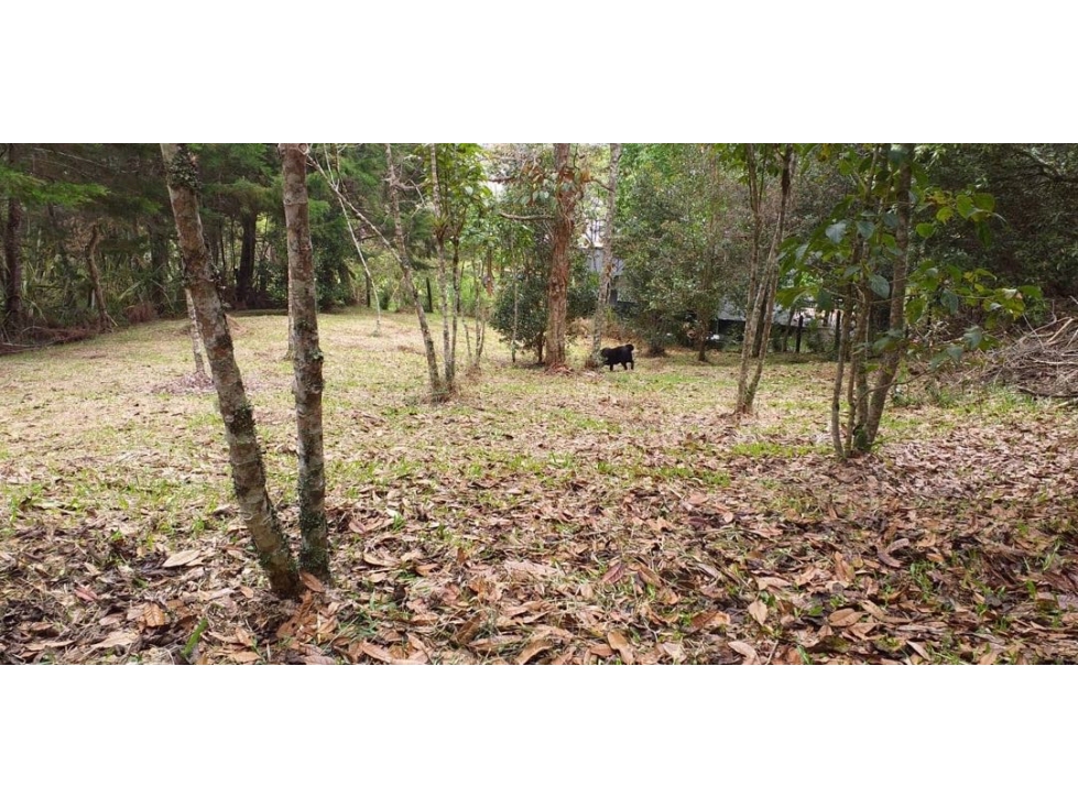 Lotes para la venta Vereda la Convención, Aeropuerto JMC, Rionegro