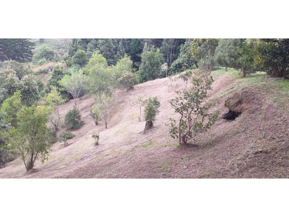 Lotes para la venta Vereda la Convención, Aeropuerto JMC, Rionegro — foto 2