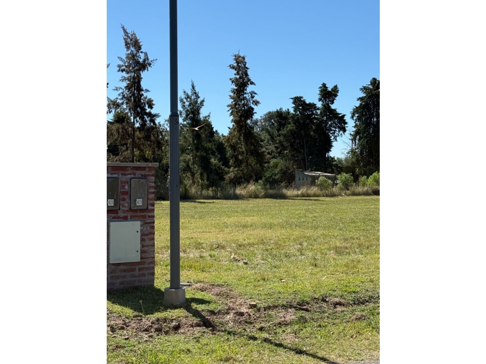 Lotes sobre colectora, acceso oeste. Altura puente Roca. — foto 5