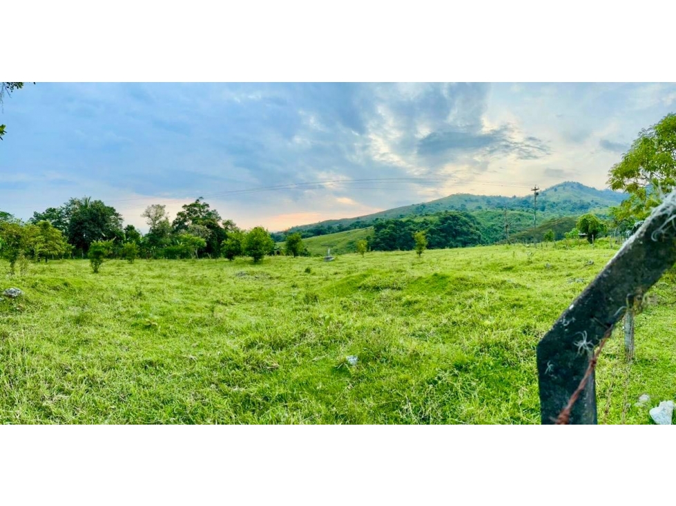 Lotes terrenos en venta permuta Santa Elena El Cerrito Valle Colombia — foto 2