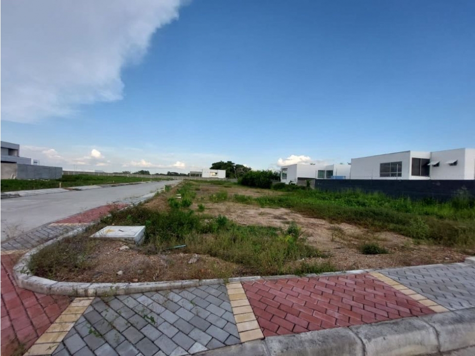 LOTES URBANIZADOS EN CONJUNTO CERRADO PICACHO EN MONTERIA — foto 3