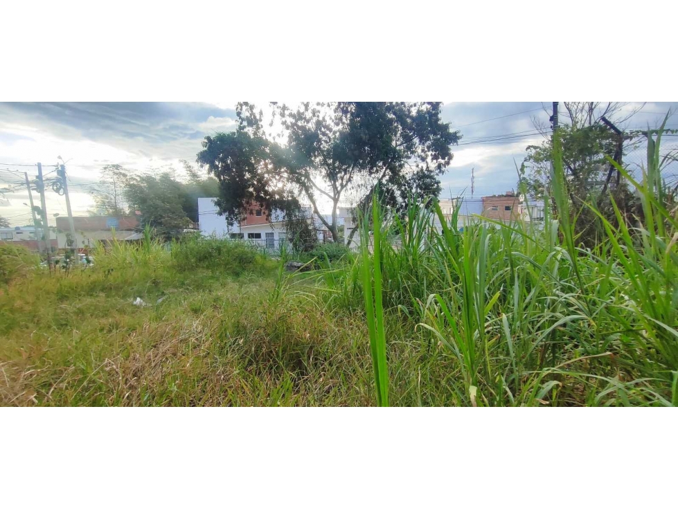 Lotes urbanos de 100 M2 y 113 M2 en 200 mill c/u negoc en LaMesa cund - 4