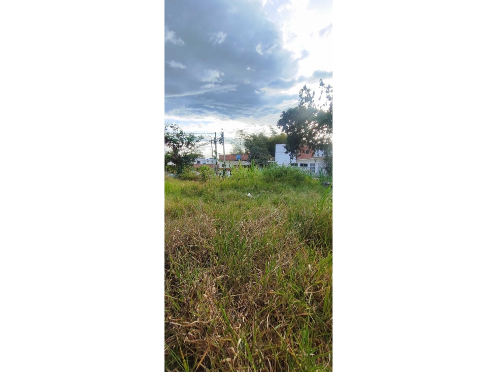 Lotes urbanos de 100 M2 y 113 M2 en 200 mill c/u negoc en LaMesa cund - 5