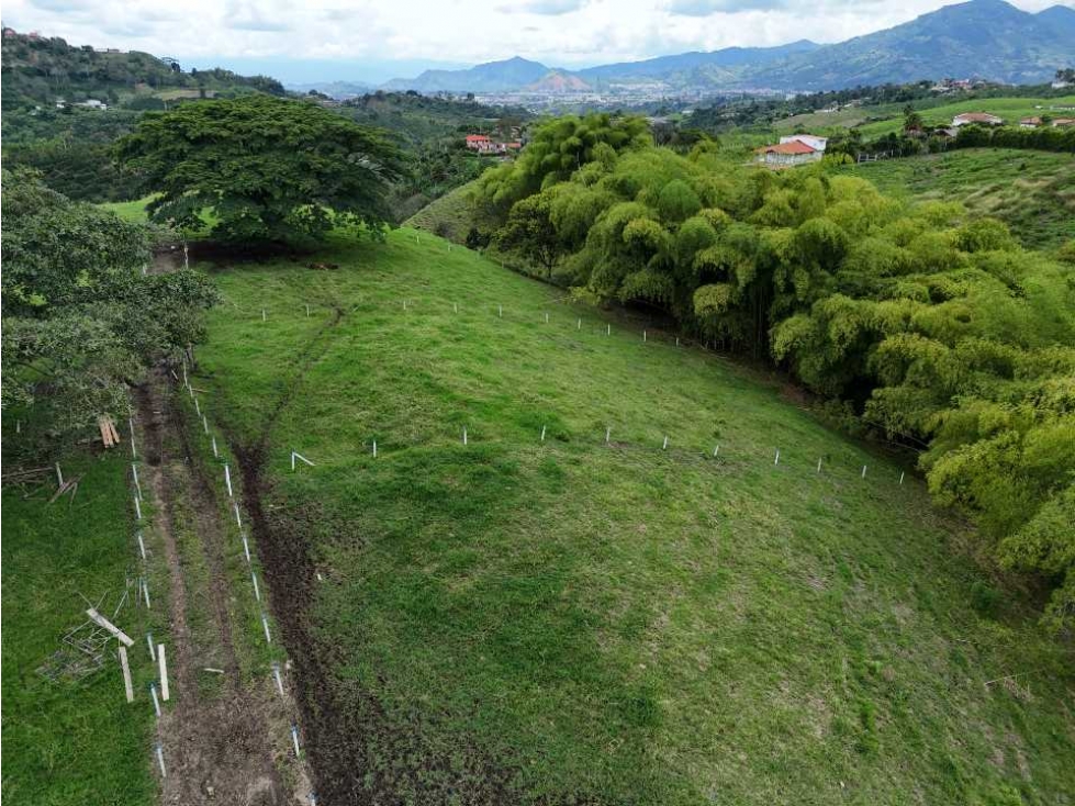 Lotes via Condina-Pereira - 1