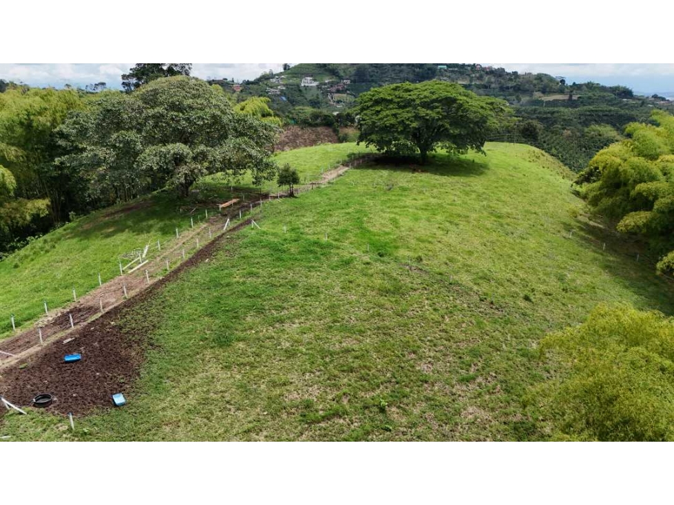 Lotes via Condina-Pereira - 2