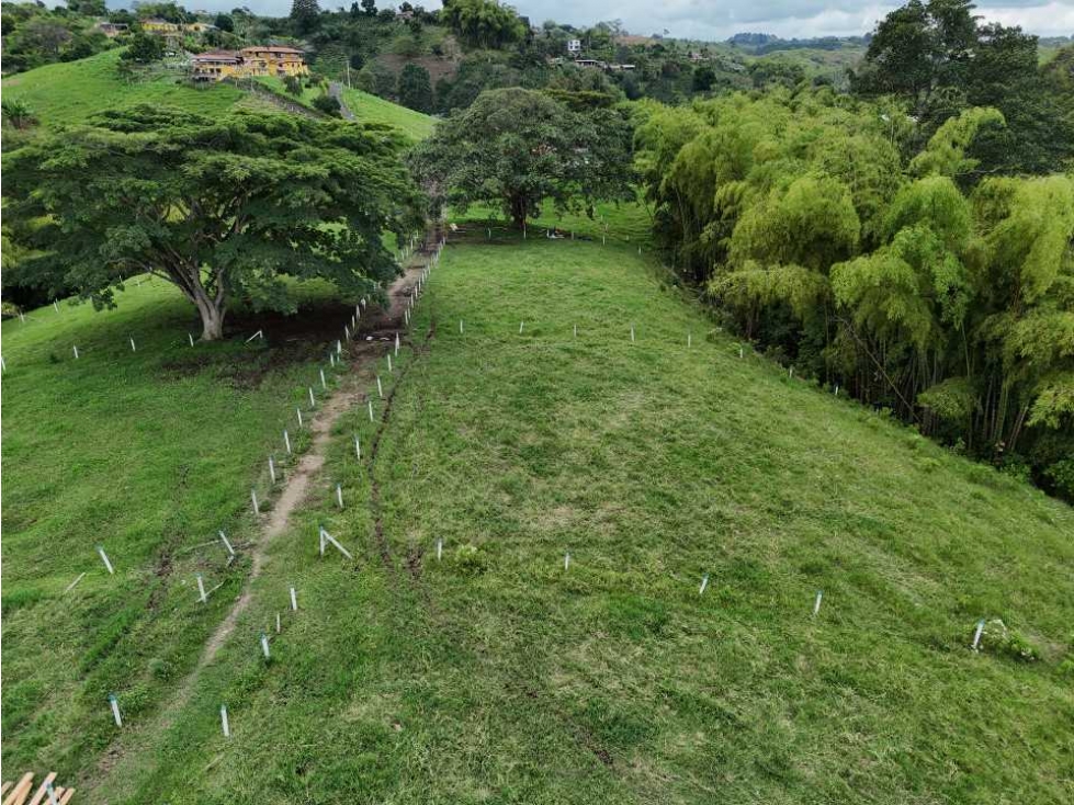 Lotes via Condina-Pereira - 4