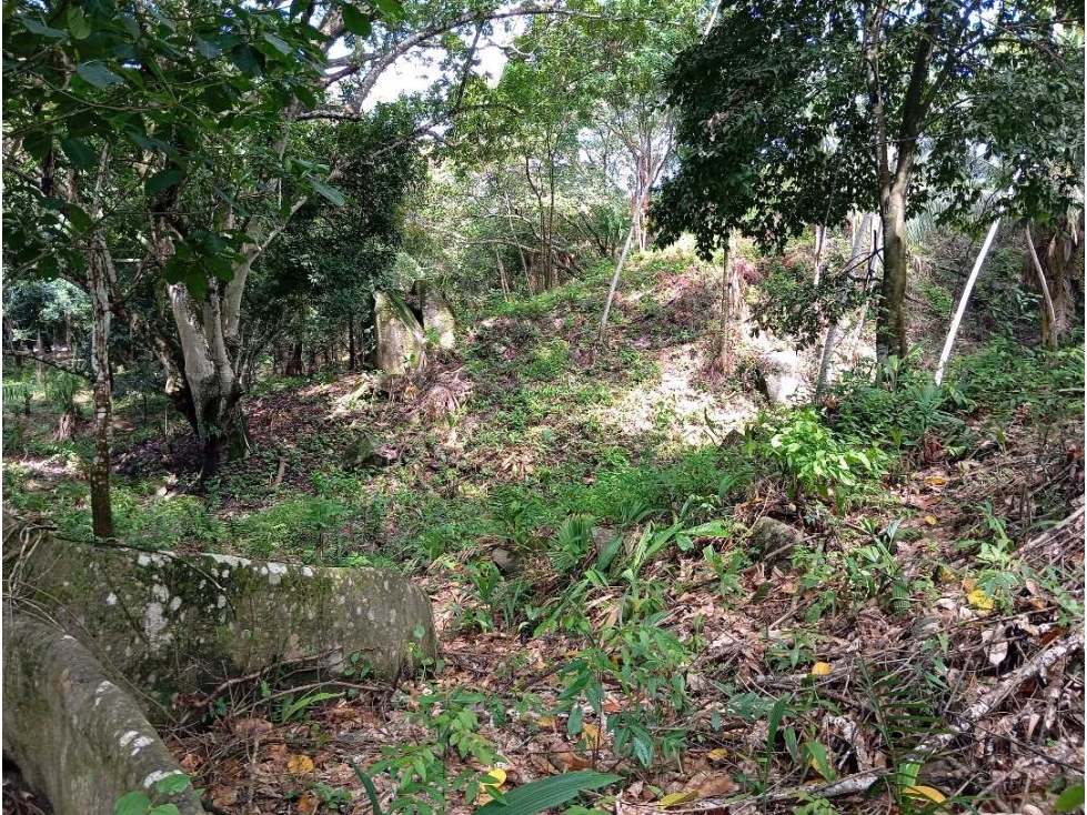 Lotes y en venta con financiación cerca al Parque Tayrona — foto 4