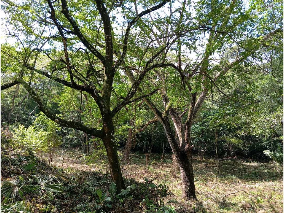 Lotes y en venta con financiación cerca al Parque Tayrona — foto 6