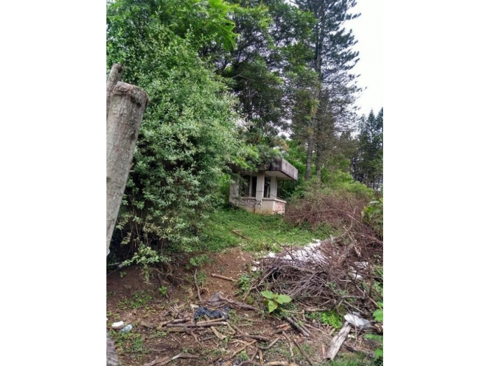 LT 11 — foto 4