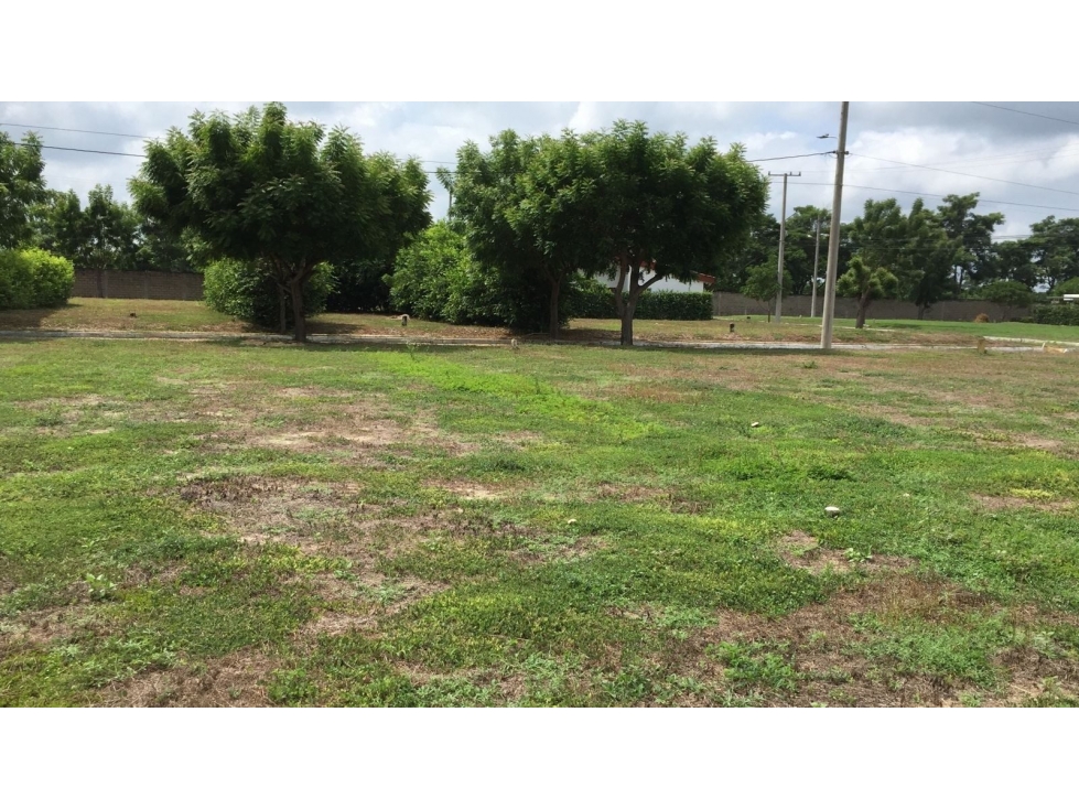 LT 13 MZ 3 EL POBLADO CAMPESTRE RIOMAR CONDOMINIO CLUB - 1