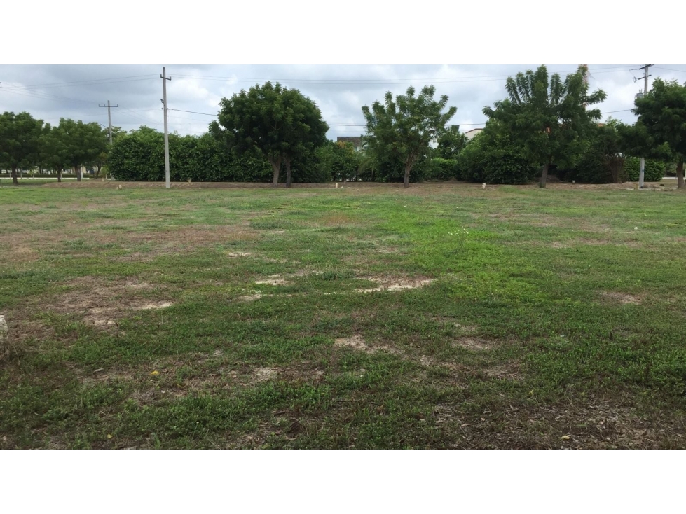 LT 17 MZ 3 EL POBLADO CAMPESTRE RIOMAR CONDOMINIO CLUB - 1
